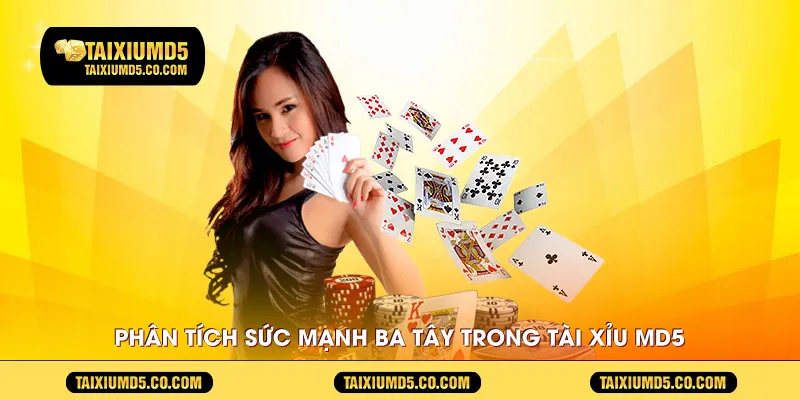 Phân tích sức mạnh ba tây trong Tài Xỉu MD5 